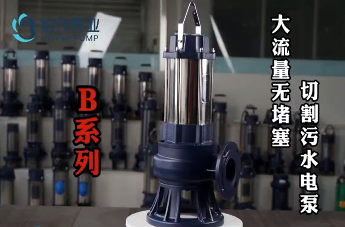 B系列大流量无堵塞泥浆污水电泵